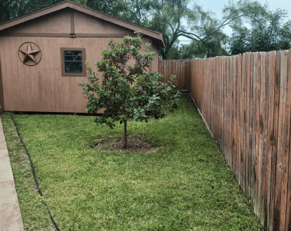 LANDSCAPING